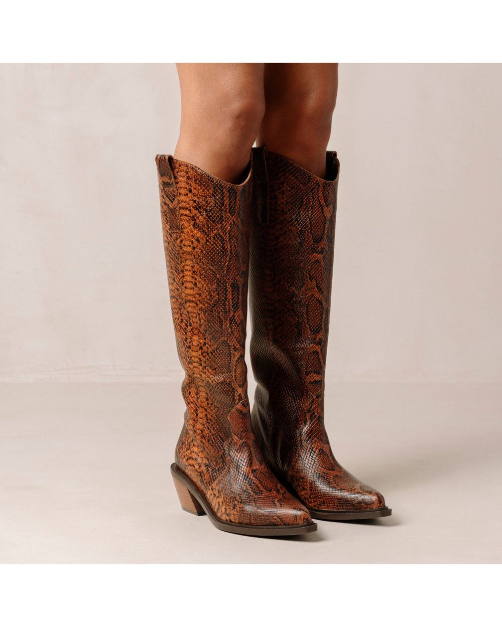 Bottes Alohas Mount Indo pour Indo Brown Femme | EHL-68933014