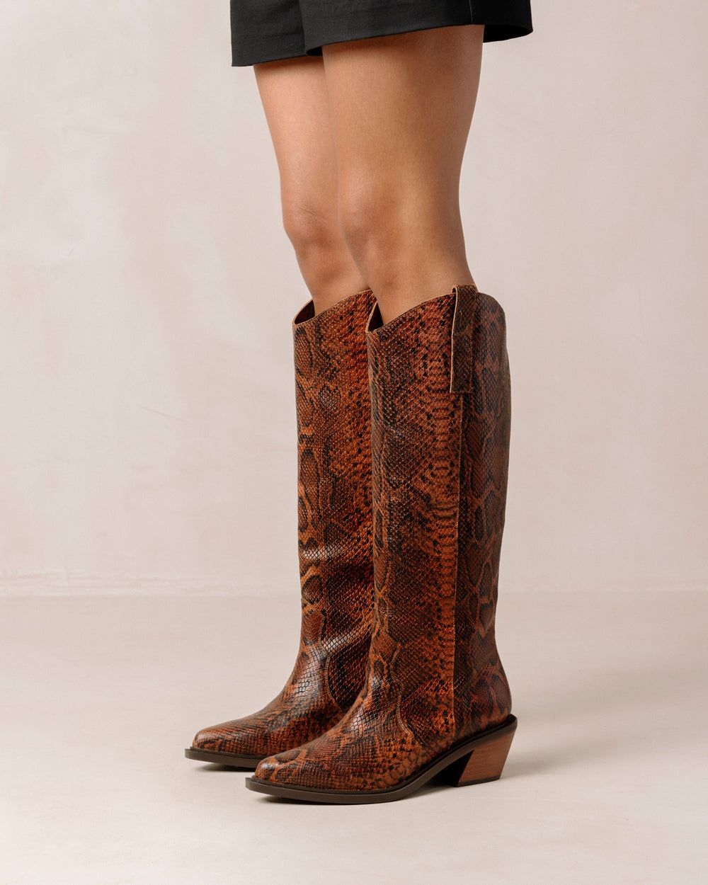 Bottes Alohas Mount Indo pour Indo Brown Femme | EHL-68933014