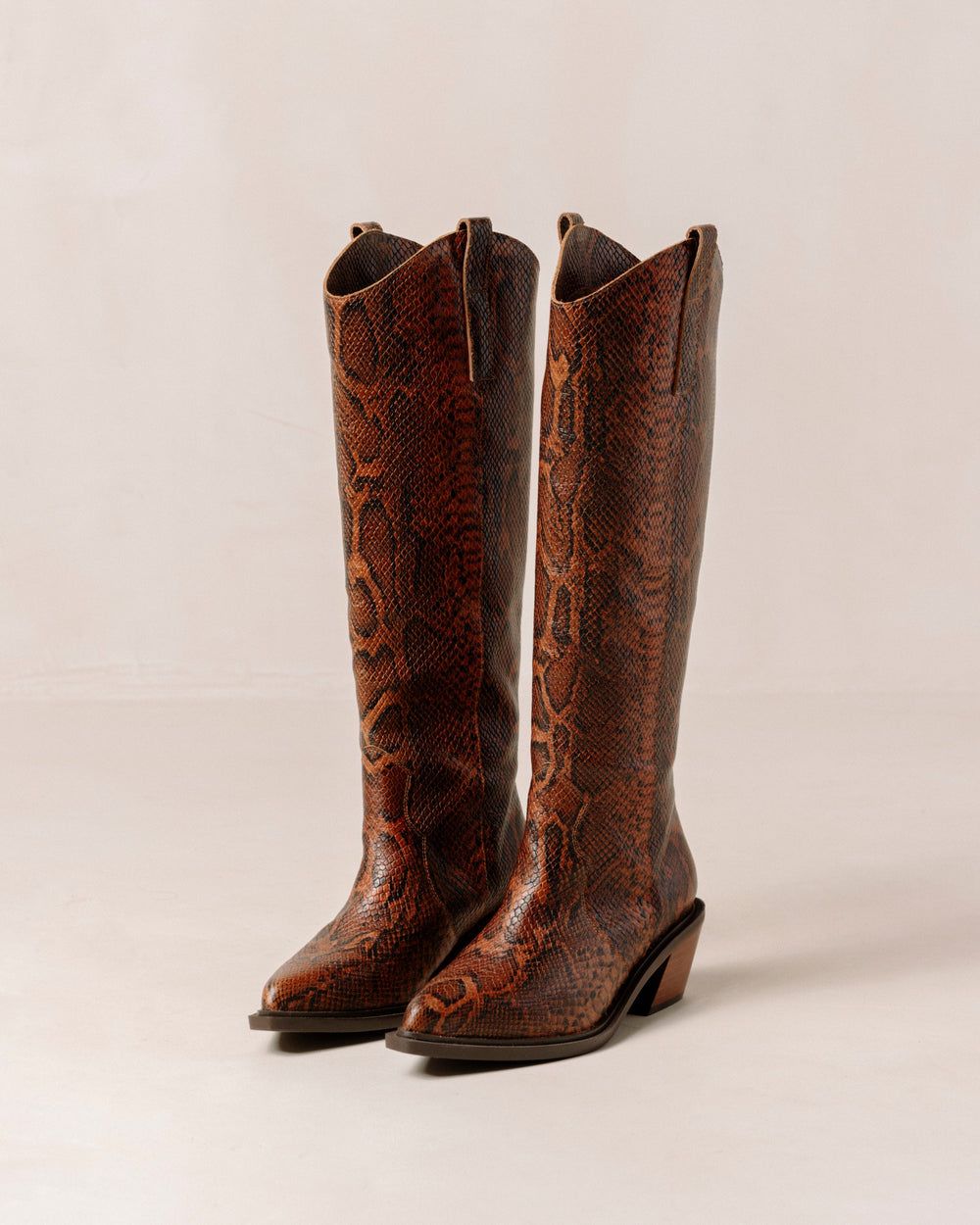 Bottes Alohas Mount Indo pour Indo Brown Femme | EHL-68933014