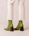 Colorblock Evergreen